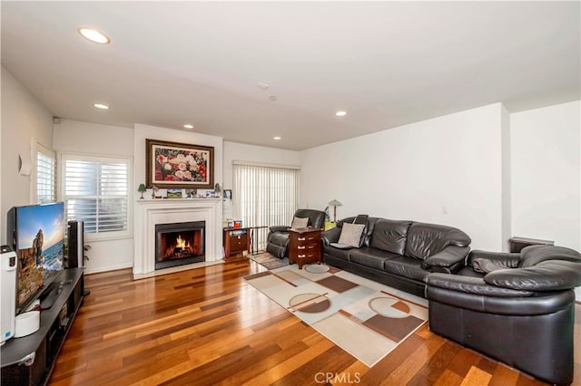 living room with hardwood / wood-style flooring