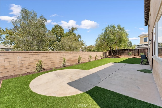 view of yard featuring a patio area