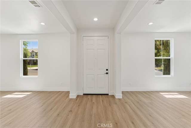 entrance foyer with light hardwood / wood-style floors and plenty of natural light