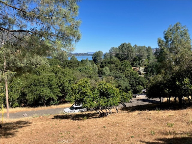 10650 Edgewater Dr, Kelseyville CA, 95451 land for sale