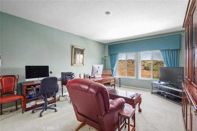 office area featuring light carpet and a textured ceiling