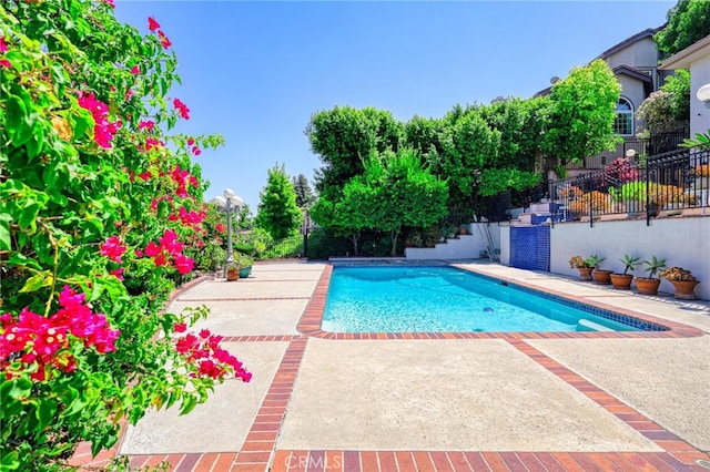 view of pool with a patio area