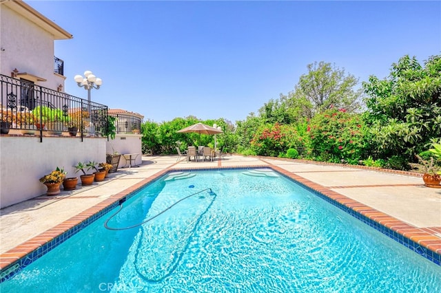 view of pool featuring a patio