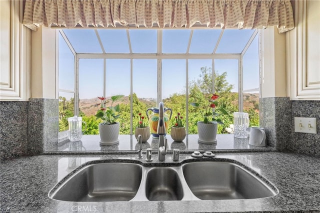 details with tasteful backsplash and sink