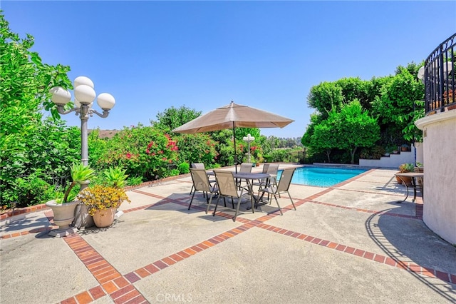 view of swimming pool with a patio