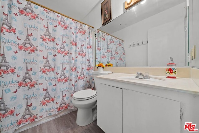 bathroom featuring wood-type flooring, vanity, toilet, and curtained shower