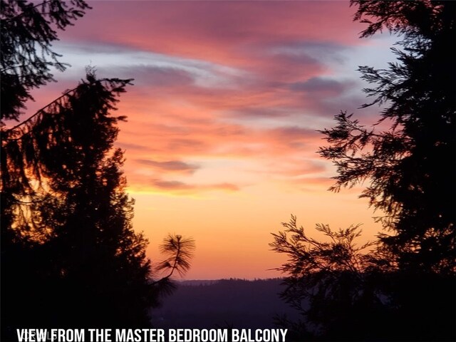 7003 Pioneer Dr, Grizzly Flats, CA 95636 - view of nature at dusk