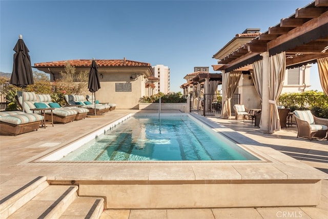 view of swimming pool featuring a patio