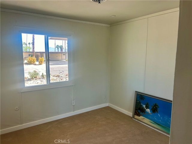 spare room with carpet, ornamental molding, and a wealth of natural light