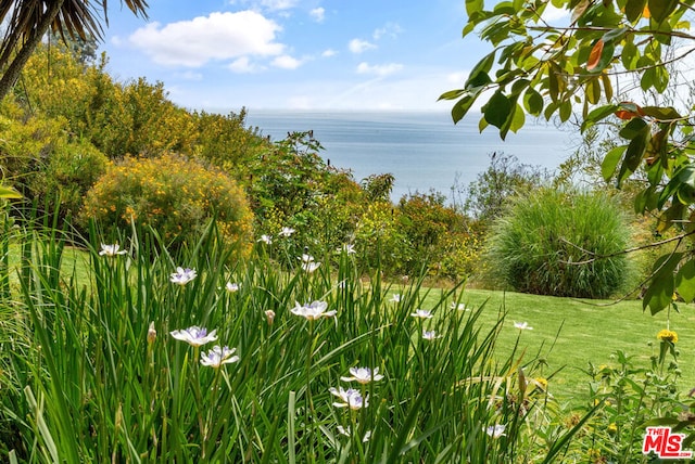 exterior space featuring a water view