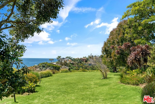 view of yard featuring a water view