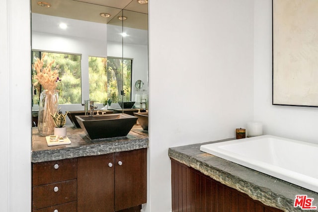 bathroom with vanity and a bathing tub