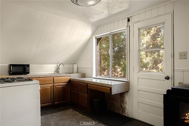 kitchen featuring a textured ceiling, a healthy amount of sunlight, vaulted ceiling, and sink