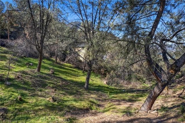 4983 Iroquois Trl, Kelseyville CA, 95451 land for sale