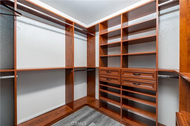 spacious closet featuring wood-type flooring