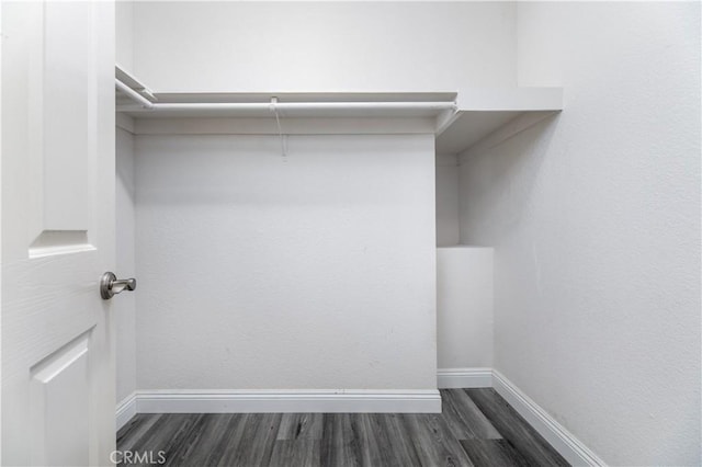 walk in closet featuring dark wood-type flooring