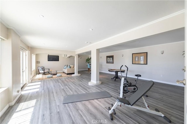 exercise area featuring ornamental molding and hardwood / wood-style flooring