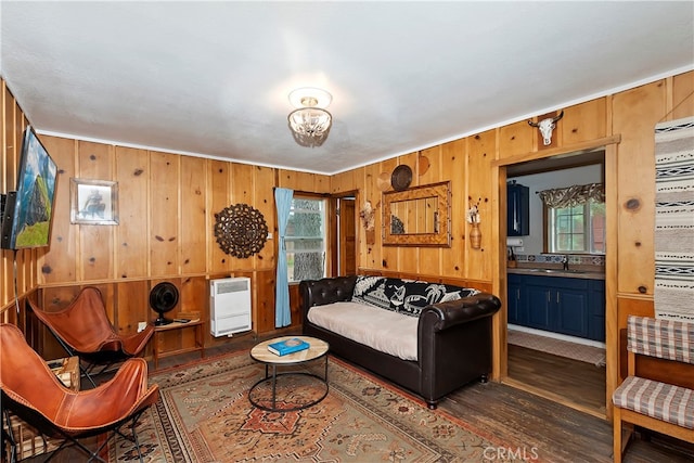 living room with wooden walls, dark hardwood / wood-style flooring, sink, and a wealth of natural light