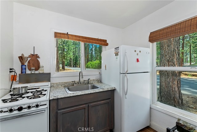 kitchen featuring dark brown cabinets, white appliances, a wealth of natural light, and sink