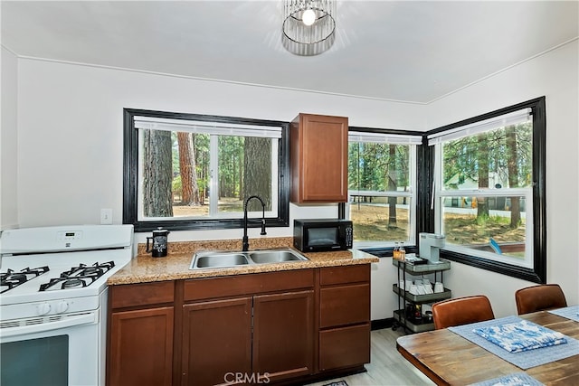 kitchen featuring light wood-type flooring, sink, and white gas stove