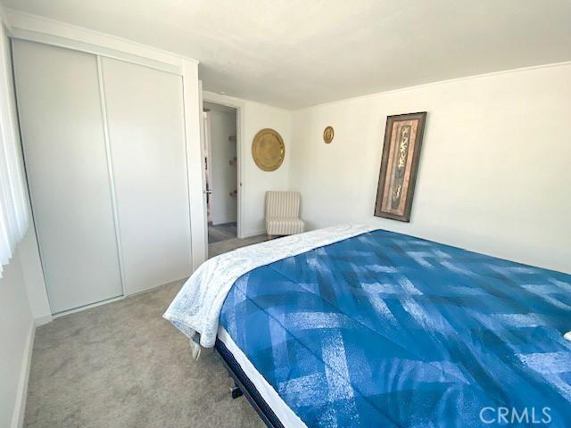 61974 Terrace Dr, Joshua Tree, CA 92252 - bedroom with carpet flooring and a closet