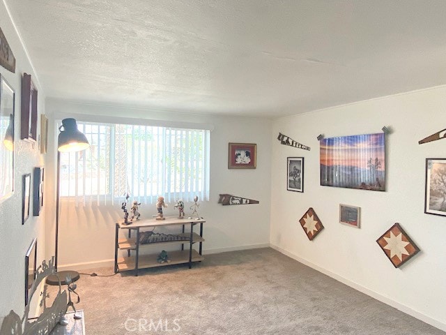 interior space featuring a textured ceiling and carpet flooring