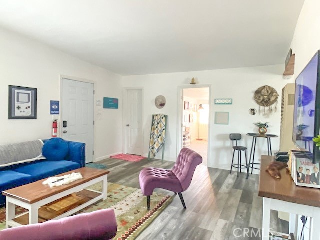 living room with wood-type flooring