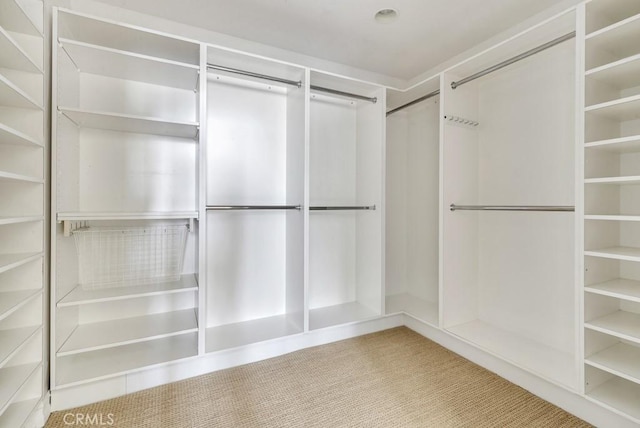 walk in closet featuring light carpet