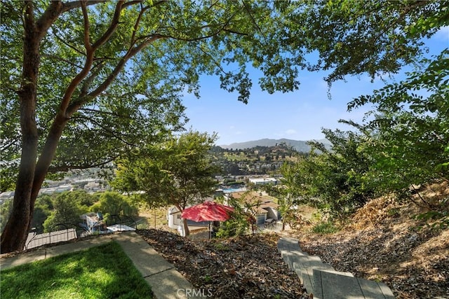 view of yard featuring a mountain view