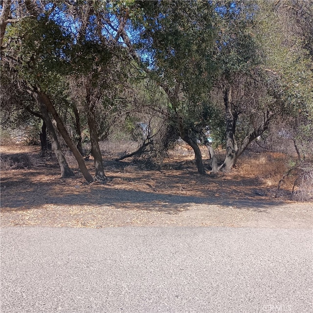 3031 9th St, Clearlake CA, 95422 land for sale