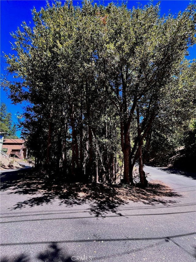 Listing photo 3 for 0 Rock Ridge Way, Lake Arrowhead CA 92352