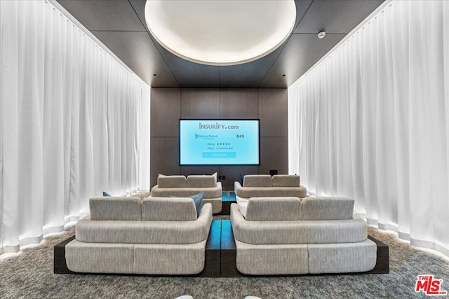 view of carpeted cinema room