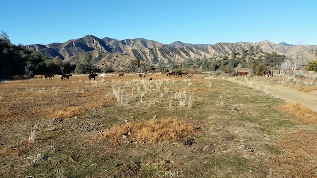 view of mountain feature with a rural view