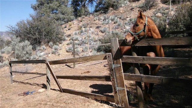 view of horse barn