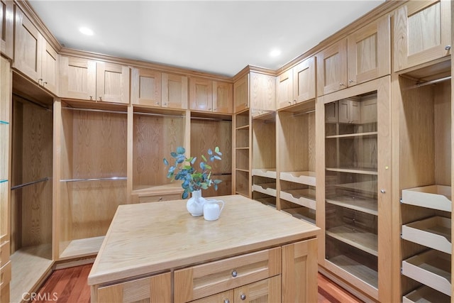 walk in closet featuring wood-type flooring