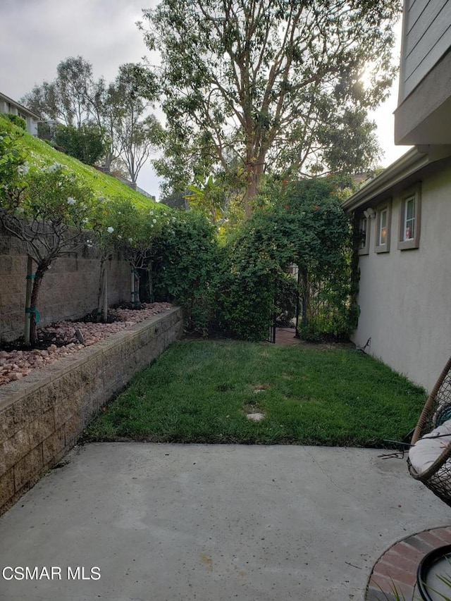 view of yard featuring a patio area