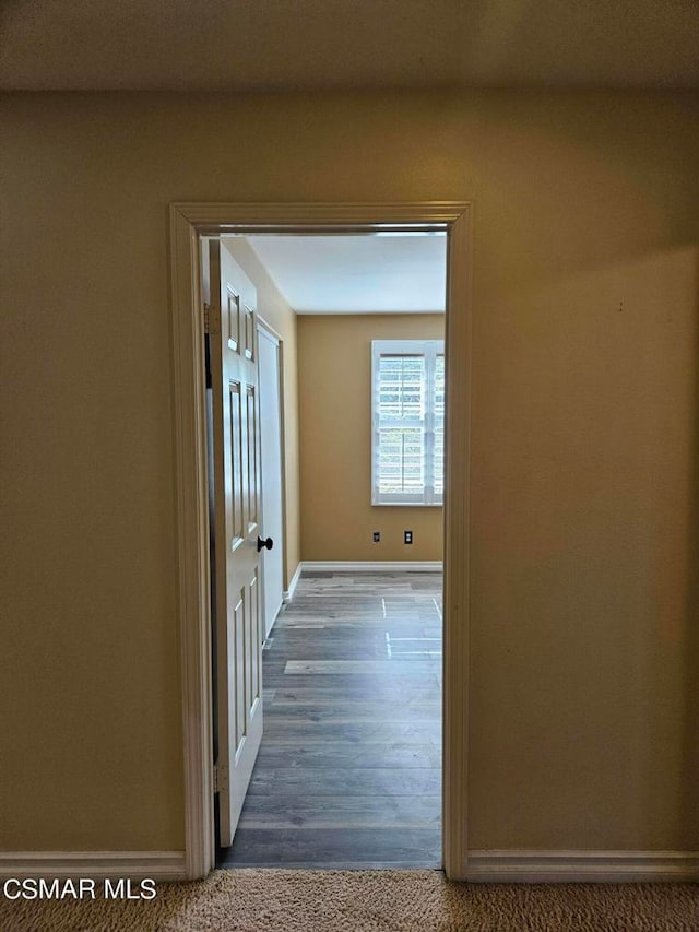 hall with dark wood-type flooring