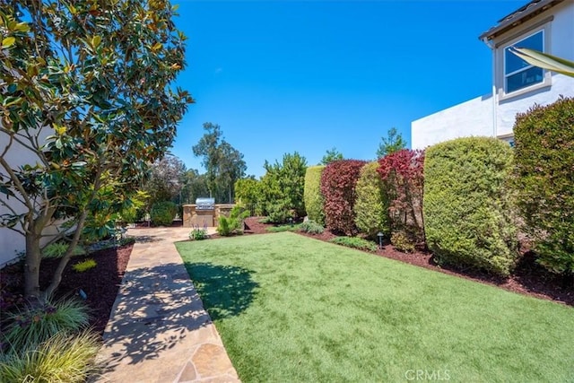 view of yard featuring a patio area and area for grilling