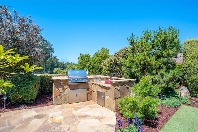 view of patio / terrace featuring an outdoor kitchen and a grill