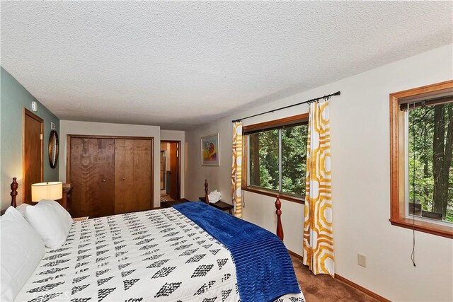 bedroom featuring a closet, carpet floors, and multiple windows