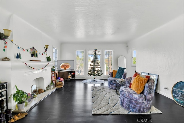 living room with wood-type flooring