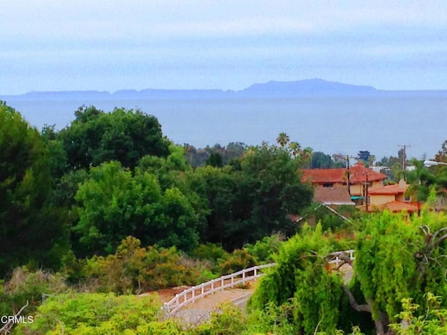 1678 Buena Vista St, Ventura, CA 93001 - photo 20