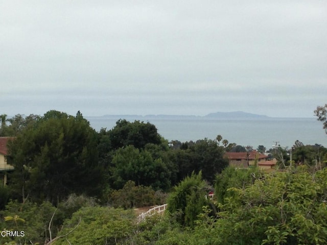 1678 Buena Vista St, Ventura, CA 93001 - photo 7