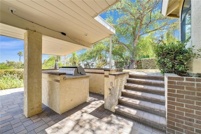 view of patio / terrace with grilling area and exterior kitchen