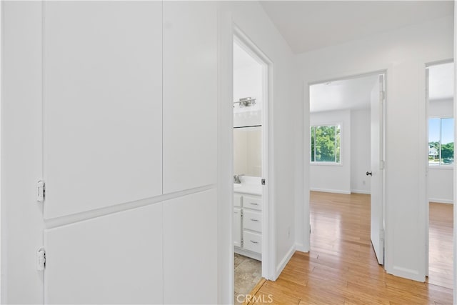 hallway with light hardwood / wood-style flooring and a healthy amount of sunlight