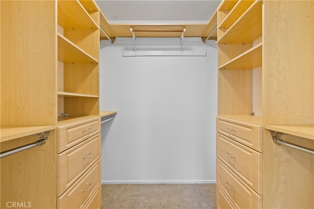 walk in closet featuring carpet flooring