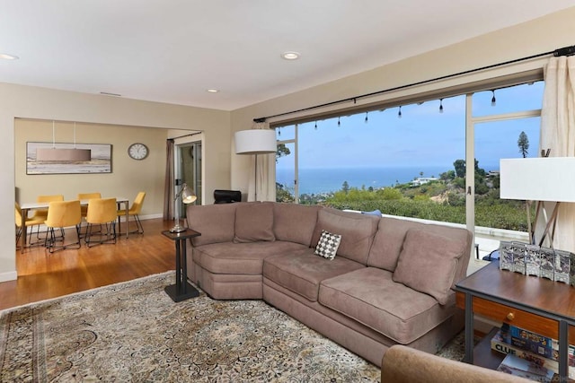 living room with plenty of natural light, a water view, and hardwood / wood-style flooring