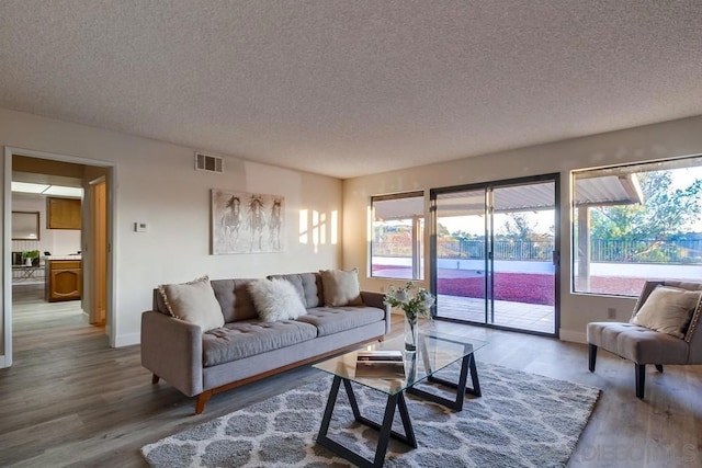 living room with a textured ceiling and hardwood / wood-style flooring