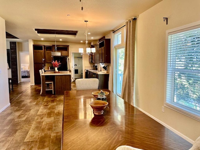 dining area featuring sink