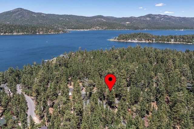 aerial view with a forest view and a water and mountain view